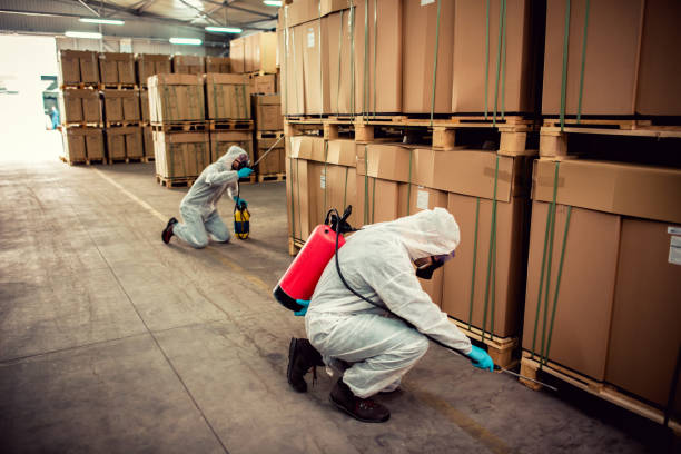 Best Termite Control Services  in Iraan, TX