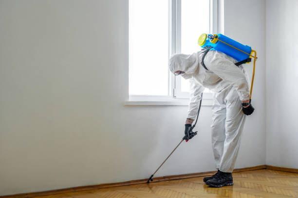 Best Pest Control Near Me in Iraan, TX