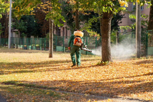 Best Exterminator Services  in Iraan, TX