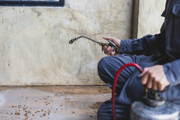 Best Emergency Pest Control  in Iraan, TX